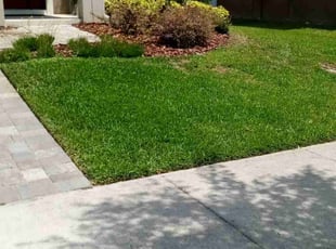 Beverly H.'s lawn care services service result