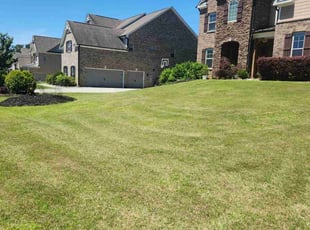 Clay R.'s turf maintenance service result
