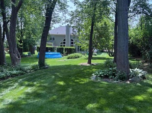 Anne K.'s lawn service service result