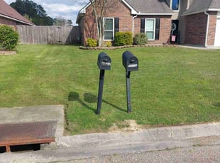 Elise W.'s lawn maintenance service result