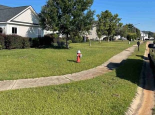 Chris C.'s lawn service service result
