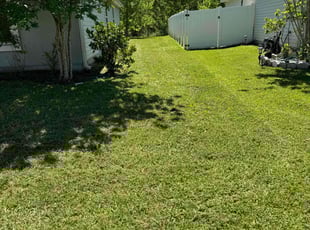 Michelle W.'s lawn service service result