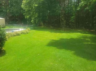 Rachel P.'s lawn service service result