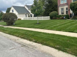 Louella B.'s lawn service service result