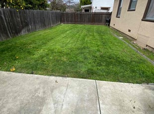 Domonique W.'s lawn service service result