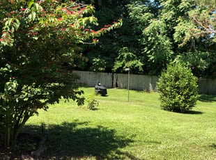 Lyz M.'s lawn care service result