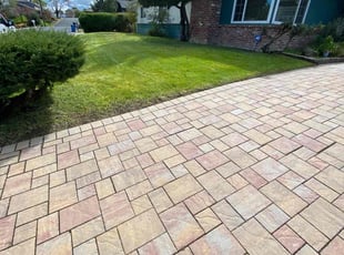 Debi B.'s grass cutting service result