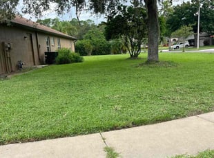 Chuck G.'s lawn service service result