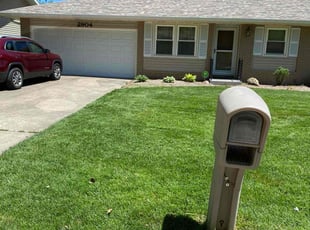Madeline H.'s turf care service result