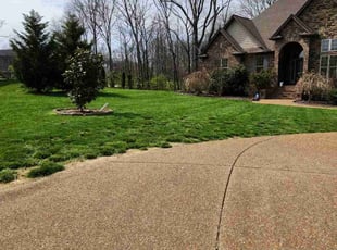 Amanda M.'s lawn maintenance service result