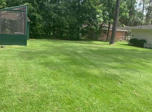 John V.'s lawn care services service result