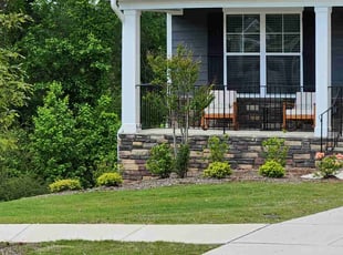 Shanora H.'s turf care service result