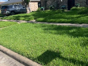 Chris I.'s lawn service service result