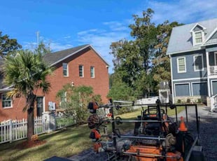 Michele G.'s lawn care service result