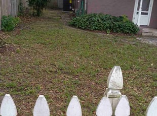 Ron S.'s Leaf Removal service result