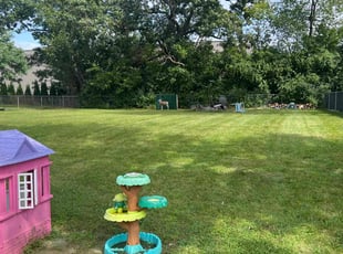 Joann H.'s grass maintenance service result