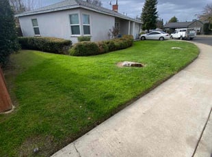 Julio C.'s lawn care service result