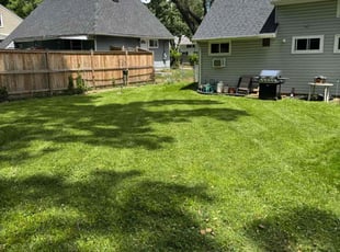 Marie I.'s lawn care service result