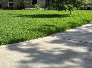 Felicia M.'s turf maintenance service result