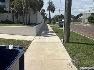 Tamika D.'s turf care service result