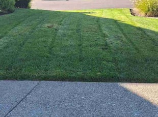 Lynn M.'s turf care service result