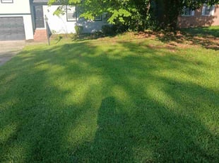 Danita M.'s turf maintenance service result