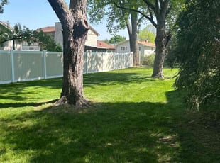 Melissa A.'s Leaf Removal service result