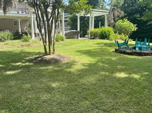 Shara W.'s turf care service result