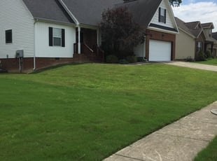 Jason H.'s lawn service service result