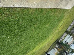 Daria S.'s lawn service service result