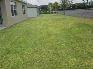 Candice B.'s lawn service service result