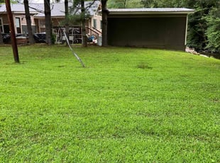 Justin W.'s lawn service service result