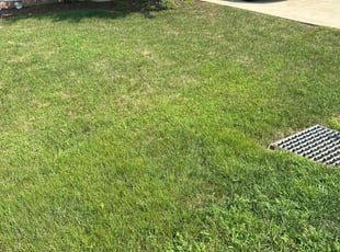Timothy K.'s lawn care service result