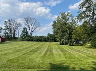 Matthew M.'s grass cutting service result