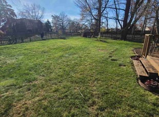 Juliet G.'s Leaf Removal service result