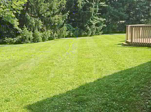 Kassidy R.'s turf maintenance service result