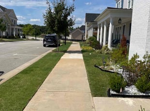 Trina A.'s lawn care service result