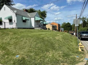 Derrick S.'s lawn care service result
