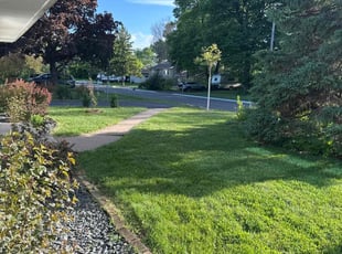 Ron V.'s lawn care service result