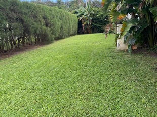 Mel C.'s yard maintenance service result