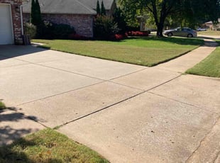 Anais R.'s lawn care service result