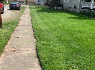 Kyla H.'s lawn service service result