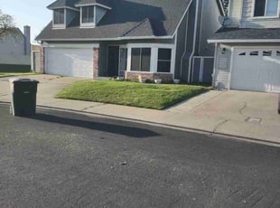 Adreyan C.'s lawn maintenance service result