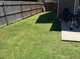 Kaytlyn S.'s turf care service result