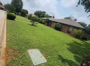 Ali B.'s lawn care service result