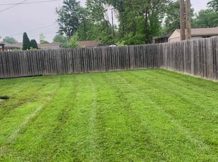 Bryan W.'s grass cutting service result