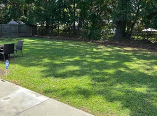 Melany W.'s lawn service service result
