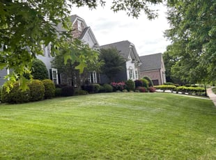 Chelsee L.'s grass maintenance service result