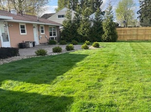 Timothy S.'s grass maintenance service result