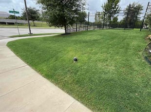 Lynda C.'s grass cutting service result